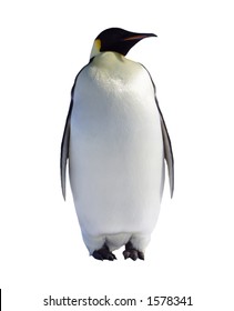 Isolated Emperor Penguin