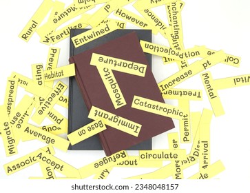 isolated English vocabulary flashcards and textbook on white background