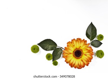 isolated flower