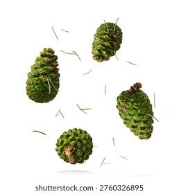 Isolated fresh green pine cone levitating over a white background. A minimalist studio photograph of a young, immature conifer seed cone in mid-air.