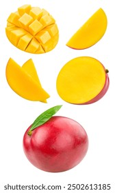 Isolated fresh mango float in the air. Falling mango fruits and mango leaves isolated on white background with clipping path