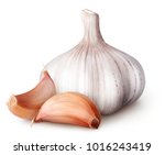 Isolated garlic. Raw garlic with segments isolated on white background, with clipping path