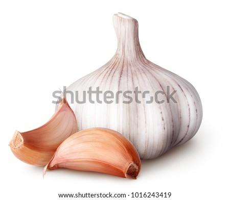 Isolated garlic. Raw garlic with segments isolated on white background, with clipping path