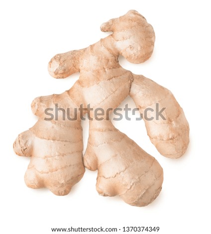 Isolated ginger. One raw ginger root, top view, isolated on white background with clipping path