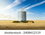Isolated grain bin standing tall on a barley field with aviation jet streams overhead on the Canadian Prairies 