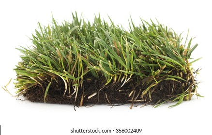 Isolated Grass Patch On A White Background.
