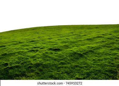 An Isolated Green Grass Hillside