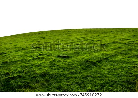 An Isolated green grass hillside