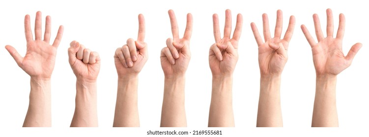 Isolated hands, showing numbers 1 to 5 plus a left hand for numbers 6 to 10 and a zero - Powered by Shutterstock