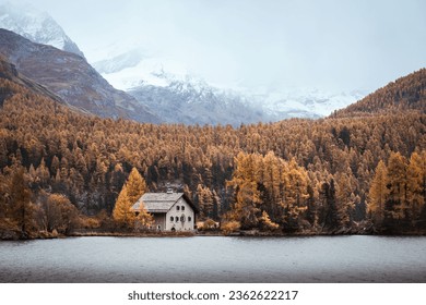 Isolated house in a forest of yellow larches, during a cloudy autumnal day in the Swiss Alps - Powered by Shutterstock