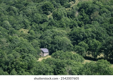 isolated house, lost in the middle of the forest - Powered by Shutterstock