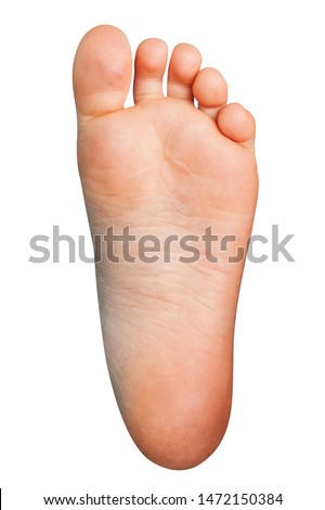 Isolated Human Sole on White Background. Cutted out Left Foot.