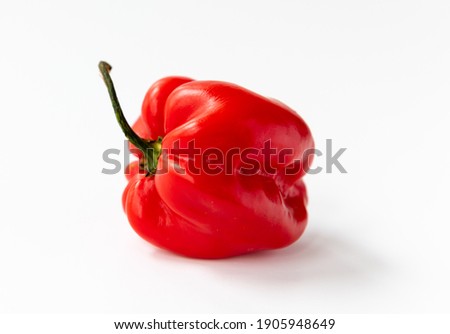 Isolated image of a red habanero chilli pepper with a white background.