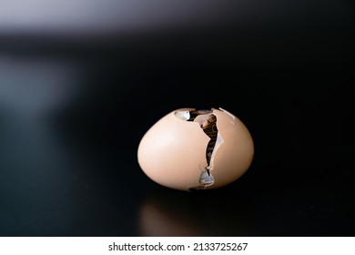 Isolated The Little Chick Is Hatching From Inside The Egg, Black Background., Clipping Paths.