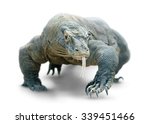 Isolated lizard. Giant lizard (comodo dragon) walks looking dangerously at camera, isolated on white background with clipping path