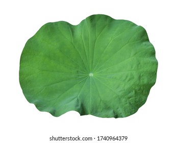 347 Die Cut Lotus Images, Stock Photos & Vectors | Shutterstock