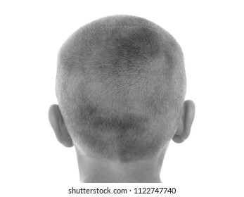 Isolated Male Head With Buzzcut On White