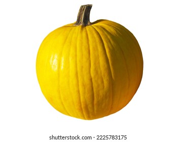 isolated Mellow Yellow pumpkin on a white background - Shutterstock ID 2225783175