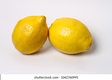 Isolated Meyer Lemons