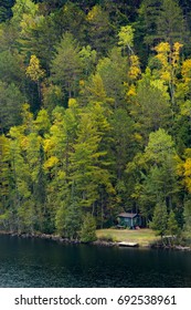 Isolated Minnesota Lake Cabin Surrounded By Woods