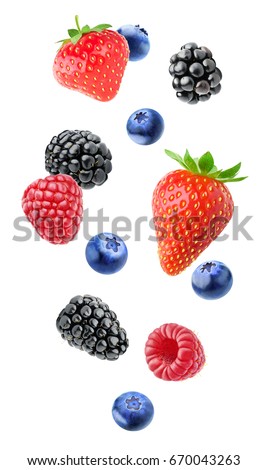 Isolated mixed berries in the air. Falling blackberry, raspberry, blueberry and strawberry fruits isolated on white background