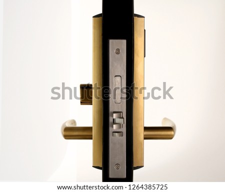 isolated mortise door lock