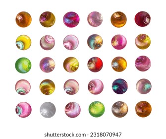 shell multicolored Isolated and