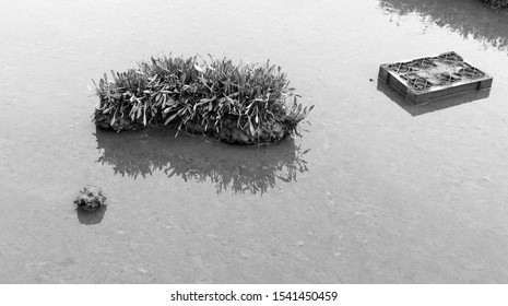 Isolated objects in a deep puddle