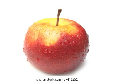 isolated on a white background. studio.
