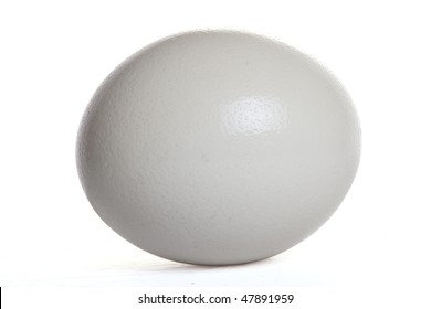 Isolated Ostrich Egg