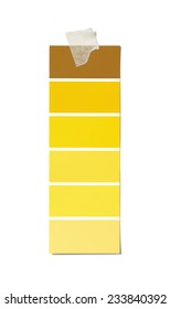 Isolated Paint Swatch