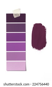 Isolated Paint Swatch And Sample