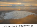 Isolated pancake, ice floe; Ross Sea, Antarctica; Linear sequence, of aqua ice floes; Pancake ice, floe on gold; Pancake icey floes; Pancake, ice patterns; Ross Sea, Antarctica Bay