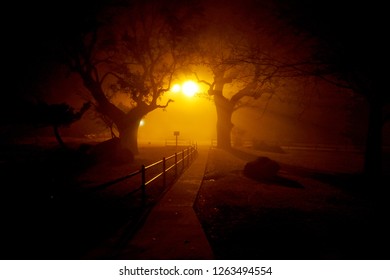 An isolated path dimly lit by a street lamp in the fog.  Silhouette of oak trees and rocks. - Powered by Shutterstock