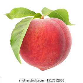 isolated peach. One raw pink peach hanging on a stem with leaves isolated on white background with clipping path