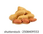 Isolated of peanut, Peanut nuts isolated, peanut seeds isolate, white background