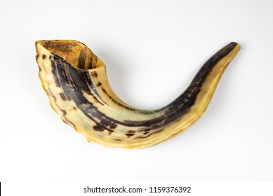 An Isolated Photo Of A Shofar - A Rams Horn Used To Blow Sounds On The Jewish New Year ( Rosh HaShana) And The Day Of Atonement (Yom Kippurim)