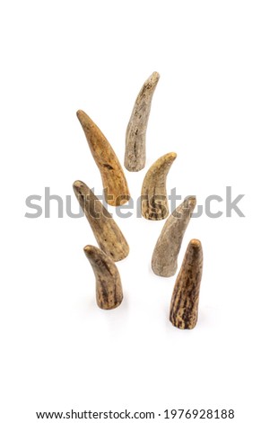 Isolated photos of elk horn slices