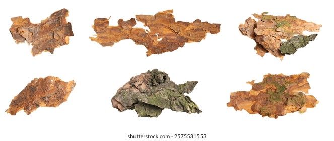 isolated pieces of pine bark
