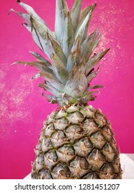 Isolated pineapple with pink background, macro,
painted from below,tropical voice
Pineapple with green leaves close up