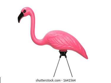 Isolated Pink Lawn Flamingo