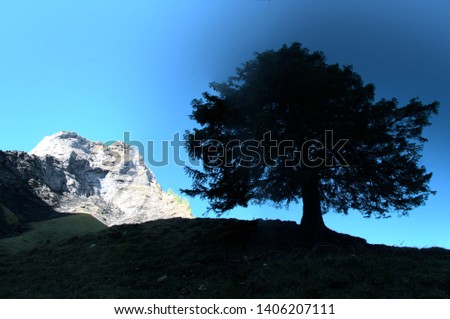 Similar – Image, Stock Photo …. ………………. | Antholz [17]