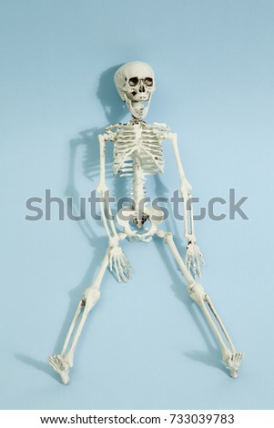 Isolated plastic toy skeleton on a vibrant pop blue turquoise background. Minimal color still life photography