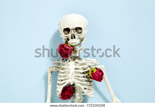 toy skeleton bones