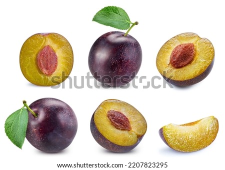 Isolated plum. Fresh organic plum with leaves isolated clipping path. Plum macro studio photo.