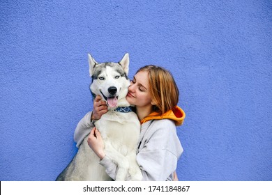 do siberian huskies cuddle