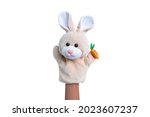 Isolated rabbit sock puppet on white background