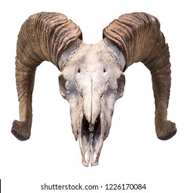 Goat Skull Images Stock Photos Vectors Shutterstock Every day new 3d models from all over the world. https www shutterstock com image photo isolated rams skull horns white background 1226170084