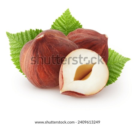 Isolated raw hazelnuts.  Two whole and a cut of hazelnut with leaves isolated on white background