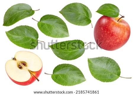 Isolated red apple with leaf. Apple on white background with clipping path. As design element.
